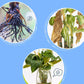 ✨ Solução nutritiva multiusos para plantas — Promove o crescimento e a vitalidade! ✨