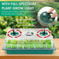 🥳Oferta Imperdível 2026🥳💞Mais de 50 mil unidades vendidas! 🎉🌱 50% de desconto! Tabuleiros de germinação com luz de cultivo – humidade ajustável, visualização transparente e ventilação. Cultive mudas fortes mais rapidamente! 🛡️✅