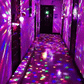 50% DE DESCONTO -🎁Luz de bola de discoteca giratória colorida💥