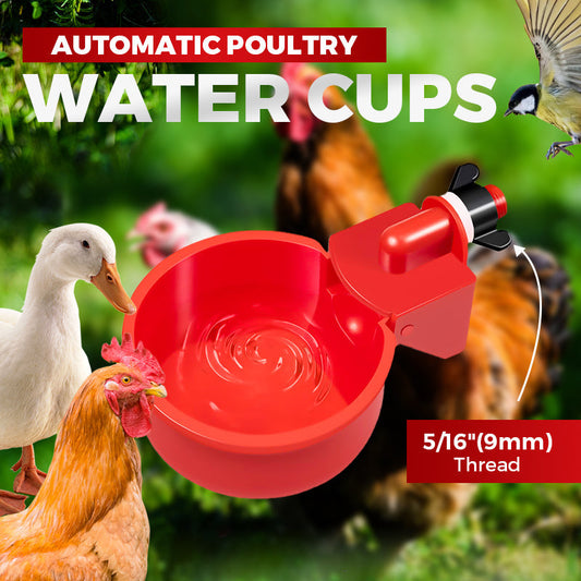 🔥Bebedouros automáticos para aves com rosca de 5/16 polegadas