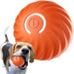 🎅PROMOÇÃO DE NATAL 49% DESCONTO🎁Bola Inteligente Automática para Cães que Não Pode Ser Mordida🐶