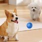 🎅PROMOÇÃO DE NATAL 49% DESCONTO🎁Bola Inteligente Automática para Cães que Não Pode Ser Mordida🐶