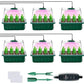 🥳Oferta Imperdível 2026🥳💞Mais de 50 mil unidades vendidas! 🎉🌱 50% de desconto! Tabuleiros de germinação com luz de cultivo – humidade ajustável, visualização transparente e ventilação. Cultive mudas fortes mais rapidamente! 🛡️✅