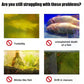 🌊 Ultimate Aquarium Water Stabilizer – Limpo, seguro, instantâneo!🐠