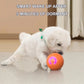 ✨Presente de Ano Novo para Cães🎁Bola Inteligente Eletrônica Interativa para Cães, Brinquedo para Pets, Bola que se Move🐶