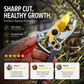 ✂️ 50% de desconto agora! 🌿 Tesoura de poda robusta SK5 – Lâmina de aço afiada, pega emborrachada e corpo compacto de 192 mm – Para podas no jardim 🌹
