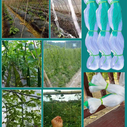 🌿【Rede de trepadeira】— Os tomates e os pepinos trepam sozinhos, mantendo os frutos afastados do chão para que não tenha de se baixar para os colher! 🍅✨