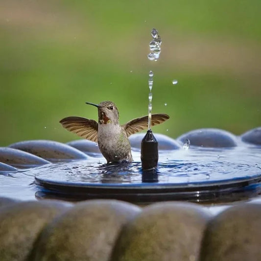🔥Promoções quentes com 50% de desconto🔥🔥Beberouros solares para pássaros🐦️