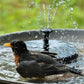 🔥Promoções quentes com 50% de desconto🔥🔥Beberouros solares para pássaros🐦️