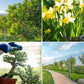 👍Boas ferramentas para jardinagem - Tesoura de poda resistente e afiada