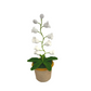 Candeeiro de croché Lily Glow