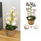 Candeeiro de croché Lily Glow