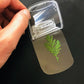 Marcadores de livros transparentes com flores secas DIY