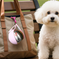 🐾 Garrafa de água dobrável para animais de estimação – Portátil, à prova de fugas e perfeita para viagens ✨💧