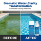 💧 Líquido purificador para piscinas – Água cristalina, sem complicações! ✨ Diga adeus à água verde e aos produtos químicos agressivos – apenas um mergulho puro e refrescante, sempre. 🏊‍♂️💙