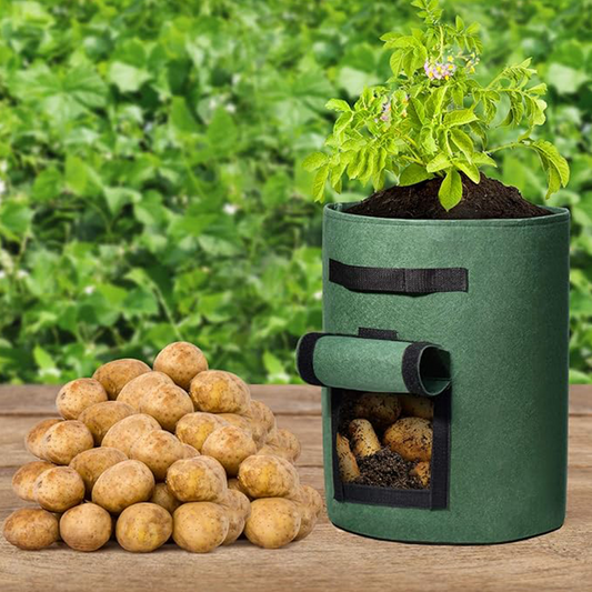 💥Ofertas imperdíveis – Saco de tecido para cultivo de batatas com janela de colheita