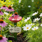 Pino de jardim com bebedouro para abelhas em forma de flor