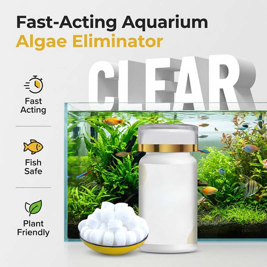 💧 54% OFF🔥 – Eliminador de Algas e Musgo para Aquários | Reduz a Necessidade de Limpeza Manual – Resultados Rápidos