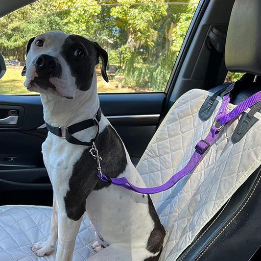 Cinto de segurança para carro e guia de passeio 2 em 1 para cães