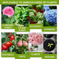 🔥Compre 2 e leve 1 grátis (3 unidades)🔥Solução nutritiva para plantas