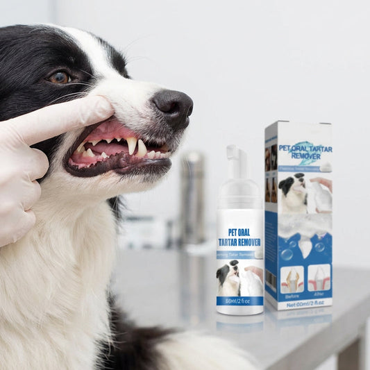 Espuma para remoção de tártaro e higiene oral de animais de estimação