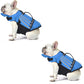 🥳2026 HOT SALE🥳💞50K+ SOLD!🐕👼 50% OFF! Reflective Angel Wing Dog Life Jacket – High‑buoyancy, quick‑rescue handle & breathable mesh. Reflective strips for evening swims. Safe & adorable! 🌊✨