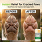 🔥Promoção quente: 50% de desconto🔥 Bálsamo hidratante em bastão para patas de animais de estimação – Coco e cera de abelha, seguro para lamber, sem sujidade 🐾