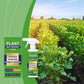 🔥Promoção Imperdível: 50% de desconto🔥 Fertilizante Líquido em Spray para Plantas – Adubação Foliar, Pronto a Usar, para Ambientes Interiores e Exteriores 🌿