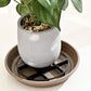 📢📢 50% OFF🌱Root-Saving Pot Riser – elevates planters, promotes airflow, keeps floors clean – for indoor & outdoor use. 🔥🏠