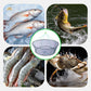 🎣 Rede de pesca dobrável com corda de recuperação