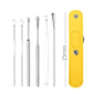 Stainless Steel Ear Wax Removal Tool Set