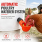 Gravity-Fed Automatic Chicken Waterer Cups