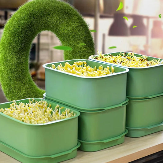 🌿 Caixa Empilhável para Cultivo de Rebentos de Feijão