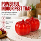 Pumpkin Shaped Indoor Fruit Fly Trap