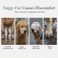 📢 Novidade com 50% de desconto 🐕 Capa de chuva transparente e impermeável para cães – Mantenha o seu animal seco e visível nos passeios em dias de chuva 🌧️