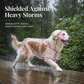 📢 Novidade com 50% de desconto 🐕 Capa de chuva transparente e impermeável para cães – Mantenha o seu animal seco e visível nos passeios em dias de chuva 🌧️