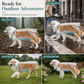 📢 Novidade com 50% de desconto 🐕 Capa de chuva transparente e impermeável para cães – Mantenha o seu animal seco e visível nos passeios em dias de chuva 🌧️