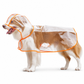 📢 Novidade com 50% de desconto 🐕 Capa de chuva transparente e impermeável para cães – Mantenha o seu animal seco e visível nos passeios em dias de chuva 🌧️