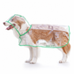 📢 Novidade com 50% de desconto 🐕 Capa de chuva transparente e impermeável para cães – Mantenha o seu animal seco e visível nos passeios em dias de chuva 🌧️