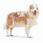 📢 Novidade com 50% de desconto 🐕 Capa de chuva transparente e impermeável para cães – Mantenha o seu animal seco e visível nos passeios em dias de chuva 🌧️