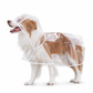 📢 Novidade com 50% de desconto 🐕 Capa de chuva transparente e impermeável para cães – Mantenha o seu animal seco e visível nos passeios em dias de chuva 🌧️