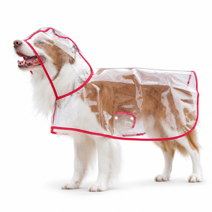 📢 Novidade com 50% de desconto 🐕 Capa de chuva transparente e impermeável para cães – Mantenha o seu animal seco e visível nos passeios em dias de chuva 🌧️