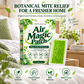 🛌 Adesivo de Ação Prolongada com Artemísia para Alívio de Ácaros – 1 Embalagem (6 Autocolantes)